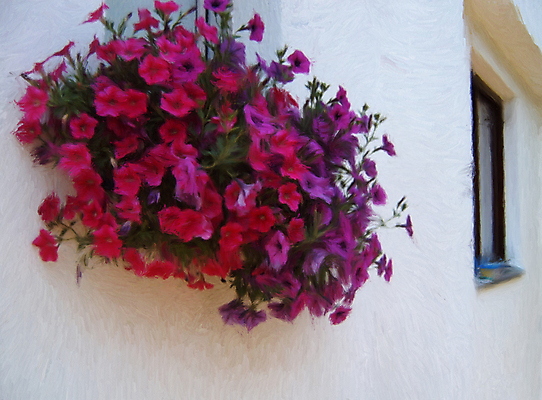 포토 JPG 해외이미지 식물 디자인 계절 꽃잎 꽃 분홍색 백그라운드 꽃무늬 일러스트 창문 자연 벽지 추상 수채화 프레임 선물 미술 사람없음 장식 빨간색 여름 컬러풀 보라색 페인트 봄 수확 그림 질감 복고 예술가 캔버스 옛날 스타일 피튜니아 해외202004 해외포토 컬러 무늬 농업 문화예술 생태계 파일형식 이미지허브