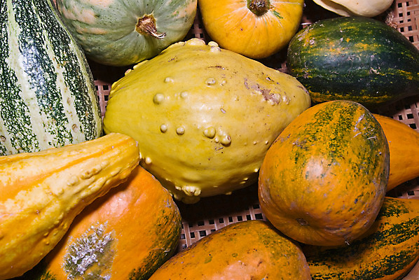 포토 JPG 해외이미지 식물 계절 음식 줄기 백그라운드 밭 농업 다이어트 채소 오렌지 과일 부분 호박 건강 요리 풍경 사람없음 야외 장식 초록색 여름 농장 노란색 세일 쌓기 정원 축제 줄무늬 샐러드 할로윈 수확 가을 신선 시장 묘사 유기농 질감 날것 추수감사절 스쿼시 10월 내추럴 조롱박 해외202004 해외포토 웰빙 산업 기독교 스포츠 컬러 무늬 모션 구기 날짜 파일형식 이미지허브