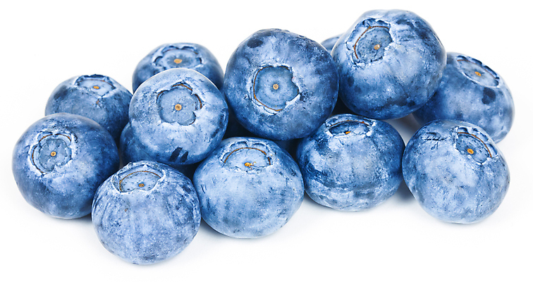 포토 JPG 해외이미지 열매 음식 과일 자연 사람없음 파란색 흰색 신선 달콤 오브젝트 블루베리 내추럴 고립 숙성 월귤 해외202004 해외포토 식물 컬러 맛 생태계 파일형식 이미지허브