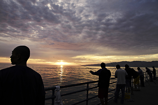 포토 JPG 해외이미지 나무 모래 바다 여행 백그라운드 자연 하늘 휴가 천사 손바닥 사람 풍경 사람없음 야외 물 여름 파란색 빛 컬러풀 태양 산타클로스 여행객 항구 미국 일몰 산책로 스케이트 도시 캘리포니아 베네치아 태평양 로스앤젤레스 해외202004 해외포토 자연요소 식물 손 계절 길 스포츠용품 컬러 크리스마스 북아메리카 교통시설 노을 이탈리아 생태계 파일형식 이미지허브