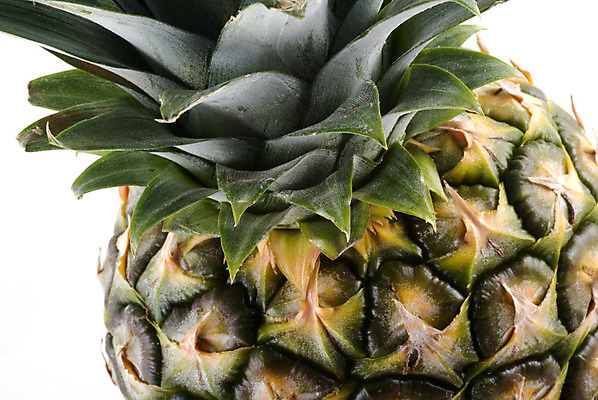 포토 JPG 해외이미지 음식 과일 부분 귤 건강 사람없음 초록색 흰색 신선 달콤 맛 설탕 파인애플 날것 고립 이국적 해외202004 해외포토 컬러 컨셉 열대과일 파일형식 이미지허브