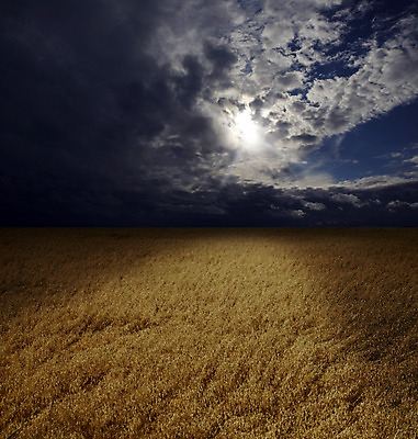 포토 JPG 해외이미지 식물 구름 계절 백그라운드 밭 농업 자연 하늘 날씨 씨앗 풍경 사람없음 야외 빨간색 여름 파란색 빛 태양 농장 노란색 우주 환경 어둠 황혼 일몰 성장 가을 시골 황금 땅 시리얼 밀 장면 넘어짐 수평선 해외202004 해외포토 자연요소 산업 음식 컬러 모션 곡류 노을 생태계 파일형식 이미지허브