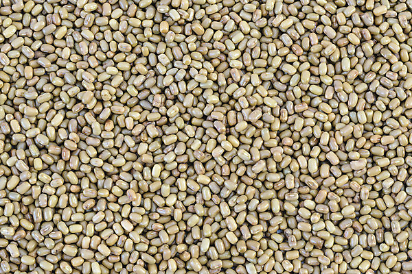 포토 JPG 해외이미지 식물 음식 백그라운드 재료 건조 건강 사람없음 갈색 맥박 날것 해외202004 해외포토 컬러 의학 파일형식 이미지허브