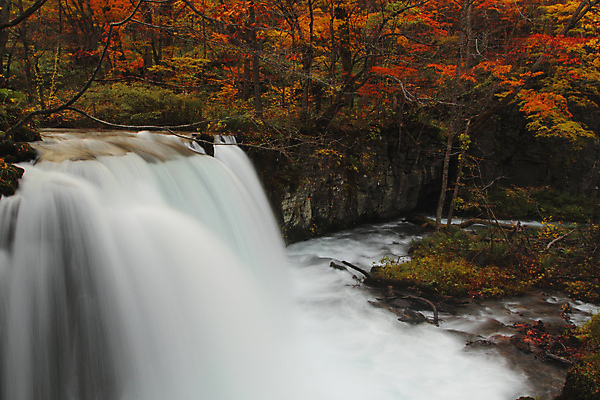 포토 JPG 해외이미지 나무 계절 공원 단풍 잎 오렌지 자연 이끼 풍경 사람없음 야외 컬러풀 일본 폭포 가을 바위 개울 강가 즐거움 해외202004 해외포토 식물 공공시설 감정 아시아 컬러 과일 강 돌_바위 생태계 파일형식 이미지허브
