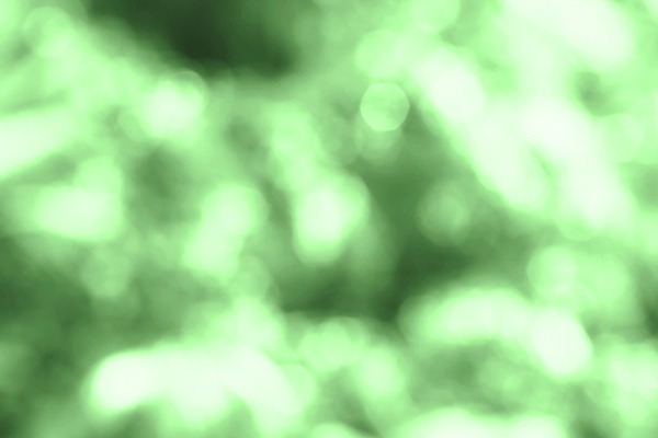 포토 JPG 해외이미지 디자인 백그라운드 크리스마스 전구 벽지 추상 휴가 조명 새로움 사람없음 야외 장식 빛 반짝임 검은색 축제 어둠 점 원형 야간 저녁 연도 클럽 질감 디스코 보케 광 블러 유흥 효과 해외202004 해외포토 자연요소 도형 기념일 음악 컬러 컨셉 무늬 모션 춤 파일형식 이미지허브