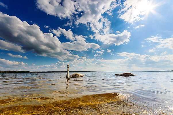 포토 JPG 해외이미지 나무 식물 구름 계절 공원 실루엣 여행 백그라운드 밭 오렌지 자연 하늘 휴가 따뜻함 그림자 풍경 사람없음 야외 빨간색 초록색 여름 파란색 빛 햇빛 태양 노란색 평화 일출 환경 침묵 황혼 일몰 새벽 황금 저녁 숲 장면 내추럴 수평선 해외202004 해외포토 자연요소 공공시설 컬러 컨셉 농업 과일 촬영기법 노을 소리 야간 생태계 파일형식 이미지허브