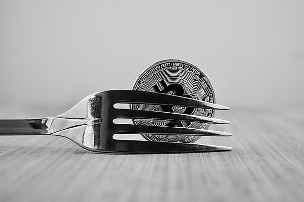 포토 JPG 해외이미지 식기 포크 돈 비즈니스 사람없음 금융 동전 저녁식사 황금 아침식사 해외202004 해외포토 경제 식사 재산 파일형식 이미지허브