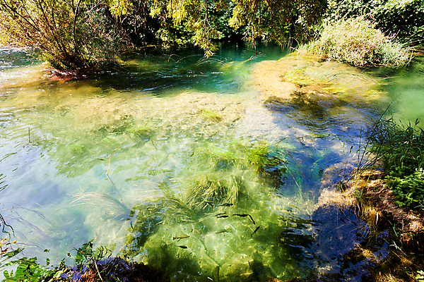 포토 JPG 해외이미지 나무 식물 공원 호수 야생동물 여행 잎 자연 표면 휴가 국립공원 어류 풍경 사람없음 초록색 물 여름 빛 강 햇빛 반사 평화 맑음 수영 산책 하이킹 나뭇가지 개울 황무지 숲 강의 크로아티아 유지 송어 해외202004 해외포토 자연요소 동물 계절 공공시설 유럽 컬러 컨셉 레저 날씨 휴식 태양 수중동물 수상스포츠 생태계 파일형식 이미지허브