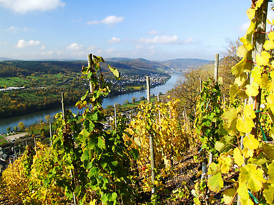 포토 JPG 해외이미지 사람없음 해외202004 해외포토 파일형식 이미지허브