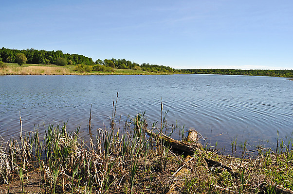 포토 JPG 해외이미지 나무 구름 호수 여행 백그라운드 밭 자연 하늘 날씨 휴식 갈대 풍경 사람없음 야외 목재 초록색 물 여름 파란색 강 마을 침묵 봄 시골 신선 숲 강가 러시아 먼지 수평선 해외202004 해외포토 자연요소 식물 계절 유럽 컬러 컨셉 농업 재료 소리 생태계 파일형식 이미지허브