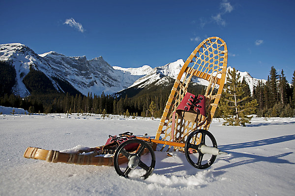 포토 JPG 해외이미지 계절 스포츠 하늘 사람없음 야외 파란색 맑음 수확 설피 해외202004 해외포토 컬러 농업 날씨 파일형식 이미지허브