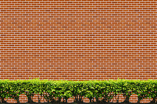 포토 JPG 해외이미지 벽 백그라운드 건축양식 벽돌 돌담 사람없음 빨간색 초록색 울타리 해외202004 해외포토 건축 컬러 담장 돌_바위 파일형식 이미지허브