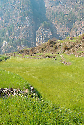 포토 JPG 해외이미지 식물 구름 계절 백그라운드 잎 밭 농업 자연 날씨 파노라마 풍경 사람없음 야외 가로 초록색 여름 빛 햇빛 환경 맑음 봄 활발 시골 신선 땅 장면 넘어짐 파라다이스 평야 수평선 해외202004 해외포토 자연요소 산업 컬러 컨셉 모션 촬영기법 태양 생태계 파일형식 이미지허브