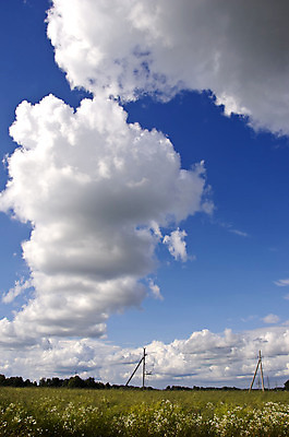 포토 JPG 해외이미지 식물 구름 계절 컨셉 밭 농업 자연 하늘 풍경 사람없음 야외 초록색 여름 햇빛 태양 환경 침묵 흐름 성장 시골 땅 그림 장면 내추럴 웅장함 수평선 세련 해외202004 해외포토 자연요소 산업 컬러 소리 생태계 파일형식 이미지허브