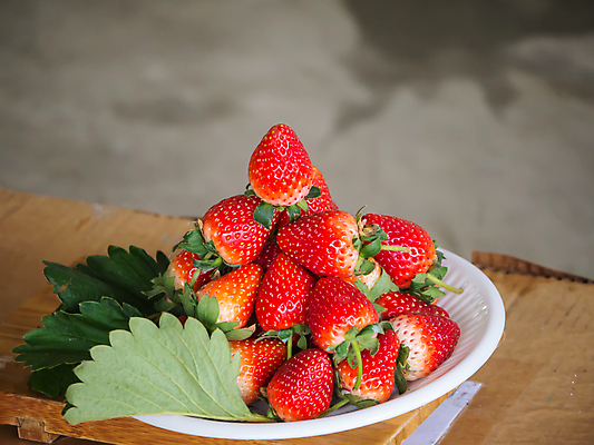 포토 JPG 해외이미지 열매 음식 잎 과일 딸기 디저트 건강 씨앗 사람없음 빨간색 초록색 빛 신선 그룹 달콤 맛 상쾌 유기농 날것 숙성 해외202004 해외포토 식물 웰빙 감정 컬러 컨셉 파일형식 이미지허브