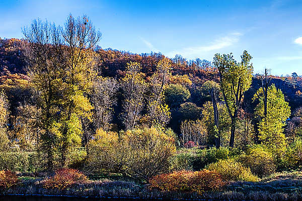 포토 JPG 해외이미지 나무 계절 공원 길 백그라운드 잎 자연 아침 이끼 풍경 사람없음 야외 목재 초록색 여름 빛 햇빛 평화 일출 환경 봄 안개 성장 광선 가을 나뭇가지 시골 황무지 황금 숲 신비 내추럴 해외202004 해외포토 주간 식물 공공시설 컬러 컨셉 재료 날씨 태양 노을 생태계 파일형식 이미지허브