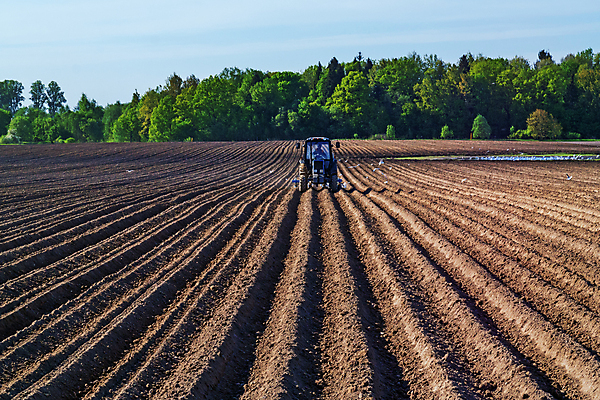 포토 JPG 해외이미지 구름 산업 도로 지구 모래 파도 포즈 백그라운드 밭 농업 교통시설 조류 하늘 날씨 풍경 사람없음 야외 파란색 갈색 우주 흙 봄 트래킹 장비 에너지 자유 흰색 나뭇가지 시골 그룹 분위기 숲 그늘 땅 방향 먼지 장면 트랙터 땅바닥 방법 밭일 벨로루시 생태학 선로 쟁기 수평선 해외202004 해외포토 자연요소 나무 동물 계절 교육 길 바다 컬러 교통 컨셉 레저 바닥 농기계 시설 특수차량 파일형식 이미지허브