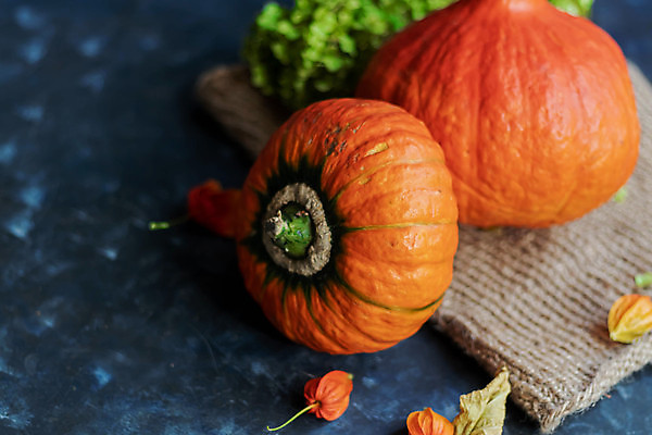 포토 JPG 해외이미지 계절 음식 줄기 농업 채소 오렌지 과일 호박 휴가 사람없음 장식 농장 할로윈 수확 가을 흰색 신선 박 추수감사절 스쿼시 10월 고립 숙성 해외202004 해외포토 식물 산업 기독교 스포츠 컬러 구기 날짜 파일형식 이미지허브