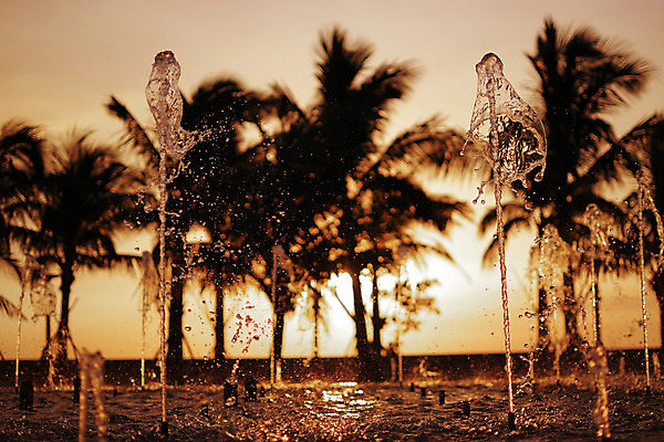 포토 JPG 해외이미지 나무 공원 실루엣 자연 하늘 휴식 풍경 사람없음 야외 물 여름 빛 햇빛 태양 황혼 일몰 봄 거품 도시 떨어짐 쇼핑몰 분수 해외202004 해외포토 자연요소 식물 계절 공공시설 컨셉 촬영기법 노을 생태계 파일형식 이미지허브