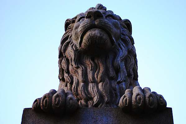 포토 JPG 해외이미지 조각 노르웨이 사람없음 사자 천연기념물 오슬로 정부 정치 해외202004 해외포토 유럽 포유류 파일형식 이미지허브