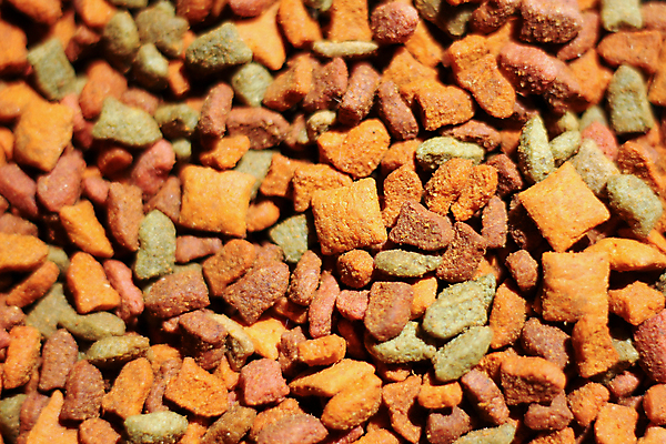 포토 JPG 해외이미지 동물 음식 백그라운드 오렌지 건조 어류 사람없음 빨간색 반려동물 갈색 쌓기 식사 고양이 개 강아지 작음 먹이 먹기 유기농 돌봄 해외202004 해외포토 웰빙 컬러 과일 포유류 모션 수중동물 크기 파일형식 이미지허브