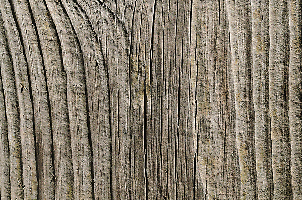 포토 JPG 해외이미지 나무 디자인 벽 파도 백그라운드 패턴 자연 벽지 탁자 표면 추상 사람없음 목재 장식 갈색 어둠 공백 수확 판넬 거친 널 낟알 책상 질감 복고 내추럴 그런지 옛날 파케트 해외202004 해외포토 식물 바다 컬러 가구 무늬 농업 재료 생태계 파일형식 이미지허브