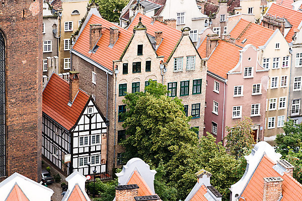 포토 JPG 해외이미지 나무 응시 유럽 건축양식 지붕 거리 주택 사람없음 건물 도시 폴란드 많음 해외202004 해외포토 식물 건축물 시선 건축 나라 컨셉 파일형식 이미지허브