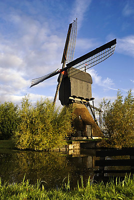 포토 JPG 해외이미지 나무 하늘 아침 사람없음 물 풍차 연못 네덜란드 대문 해외202004 해외포토 주간 자연요소 식물 유럽 문 파일형식 이미지허브