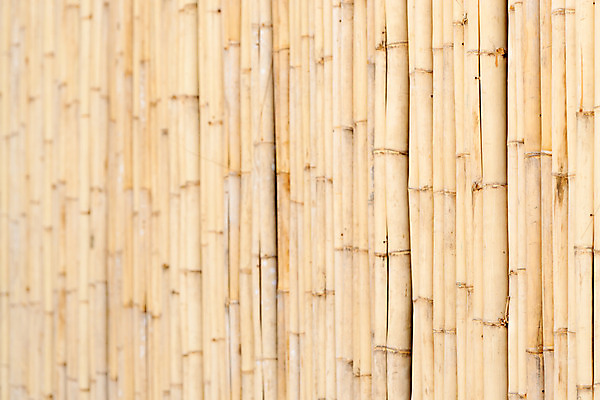 포토 JPG 해외이미지 나무 전통 디자인 외관 아시아 백그라운드 패턴 부분 자연 표면 동양인 사람없음 목재 가로 갈색 우주 줄무늬 플랫 널 매끈함 대나무 질감 심플 인도네시아 내추럴 수목 전국 합판 해외202004 해외포토 식물 나라 컬러 무늬 재료 인종 감각 생태계 파일형식 이미지허브