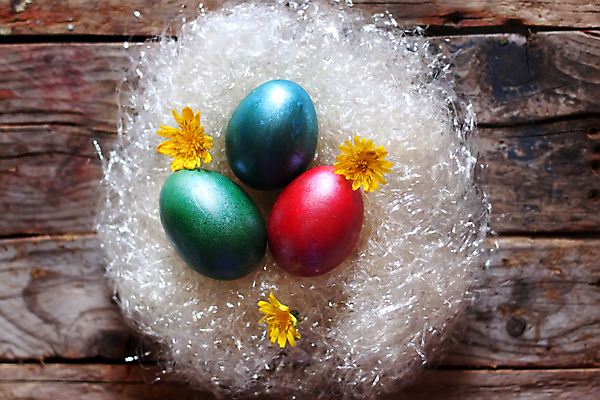 포토 JPG 해외이미지 전통 디자인 계절 꽃 분홍색 탁자 휴가 부활절 이벤트 사람없음 목재 장식 초록색 파란색 컬러풀 노란색 계란 축제 봄 축하 직물 코드 둥지 시원함 심볼 데이지 부드러움 양모 해외202004 해외포토 나무 식물 기념일 컬러 가구 컨셉 재료 알 감각 파일형식 이미지허브