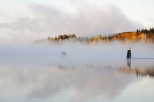 포토 JPG 해외이미지 나무 구름 실루엣 호수 하늘 핀란드 풍경 사람없음 일몰 안개 가을 해외202004 해외포토 자연요소 식물 계절 날씨 촬영기법 북유럽 노을 파일형식 이미지허브