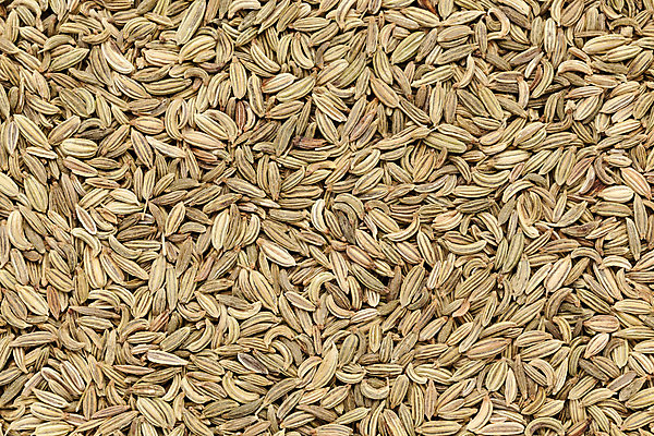 포토 JPG 해외이미지 사람없음 초록색 노란색 쌓기 수집 허브 향신료 유기농 해외202004 해외포토 식물 웰빙 컬러 모션 향미료 파일형식 이미지허브