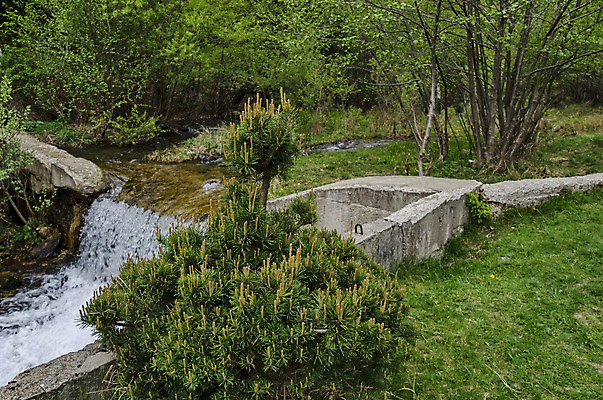 포토 JPG 해외이미지 나무 백그라운드 모션 자연 산 풍경 사람없음 초록색 물 파란색 강 노란색 폭포 흐름 흰색 신선 개울 소프트포커스 숲 작음 암초 불가리아 블러 해외202004 해외포토 자연요소 식물 컬러 컨셉 촬영기법 크기 생태계 파일형식 남유럽 이미지허브