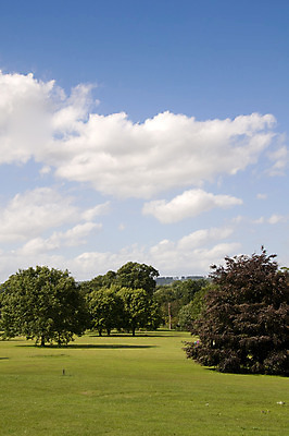 포토 JPG 해외이미지 나무 구름 공원 자연 하늘 잉글랜드 풍경 사람없음 야외 목재 초록색 여름 파란색 햇빛 봄 시골 땅 조경 해외202004 해외포토 자연요소 식물 계절 공공시설 컬러 재료 영국 태양 생태계 파일형식 이미지허브