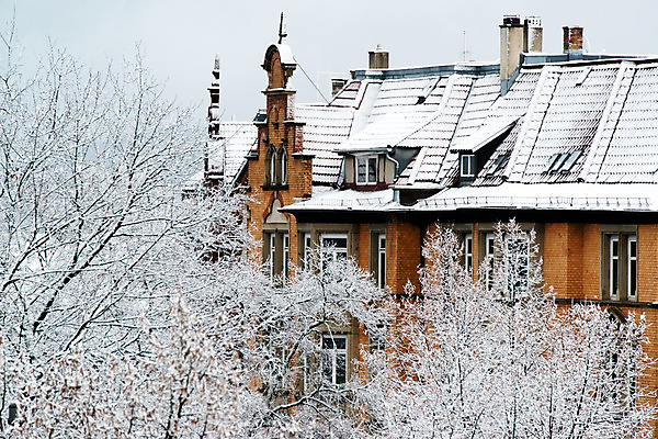 포토 JPG 해외이미지 나무 외관 계절 유럽 낙엽 겨울 건축양식 창문 자연 지붕 날씨 휴가 주택 독일 풍경 사람없음 야외 건물 목재 빛 마을 환경 얼음 추위 흰색 시골 도시 12월 서리 장면 1월 내추럴 옛날 눈내림 해외202004 해외포토 자연요소 식물 건축물 건축 나라 컬러 잎 재료 눈_날씨 날짜 생태계 파일형식 이미지허브