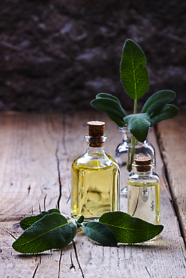 포토 JPG 해외이미지 식물 라이프스타일 선 백그라운드 잎 신체 재료 자연 유리 휴식 건강 요리 사람없음 목재 치료 초록색 약 스파 나뭇가지 신선 마사지 소중 허브 향수 유기농 향기 아로마 향 아로마테라피 테라피 돌봄 세이지 에센스 해외202004 해외포토 나무 웰빙 컬러 컨셉 의학 모션 재질 생활 뷰티 화장품 생태계 냄새 파일형식 이미지허브