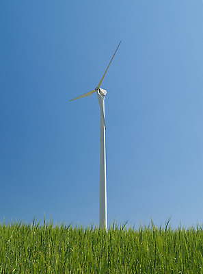 포토 JPG 해외이미지 산업 밭 농업 자연 하늘 옥수수 풍경 사람없음 야외 초록색 여름 파란색 농작물 농경지 환경 탑 힘 재활용 풍차 발전기 에너지 시골 칼날 보호 생태계 프로펠러 유지 방앗간 밭일 생태학 해외202004 해외포토 건축물 계절 교육 컬러 컨셉 곡류 농장 발전소 친환경 파일형식 이미지허브