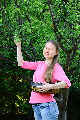 포토 JPG 해외이미지 나무 여자 음식 농업 과일 자연 주택 건강 한명 사람 성인 야외 초록색 농장 정원 모임 수확 가을 시골 신선 업무 농부 과수원 수집 자두 밭일 해외202004 해외포토 식물 직업 1 계절 산업 컬러 건물 작업 생태계 파일형식 이미지허브