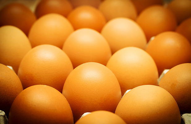 포토 JPG 해외이미지 동물 전통 음식 농업 다이어트 재료 자연 조류 엄마 부활절 기념 함께함 건강 요리 사람없음 장식 농장 주방 계란 축제 치킨 성장 껍질 신선 그룹 볏짚 먹기 준비 유기농 날것 칼로리 내추럴 개발 단백질 생식 암탉 처음 프로방스 해외202004 해외포토 웰빙 기념일 산업 컨셉 가족 모션 알 닭 짚 암컷 생태계 닭고기요리 영양소 파일형식 이미지허브