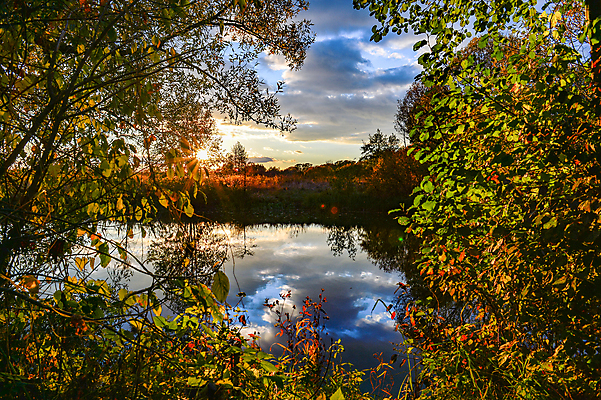 포토 JPG 해외이미지 나무 구름 계절 공원 호수 여행 백그라운드 잎 오렌지 자연 하늘 낚시 휴가 프레임 스웨덴 풍경 취미 사람없음 야외 물 여름 파란색 강 컬러풀 반사 노란색 평화 맑음 침묵 활발 가을 시골 연못 황무지 숲 11월 그림 장면 10월 생태학 해외202004 해외포토 자연요소 식물 공공시설 교육 컬러 컨셉 과일 레저 날씨 북유럽 소리 날짜 생태계 파일형식 이미지허브