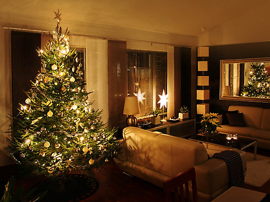 포토 JPG 해외이미지 나무 계절 별 크리스마스 겨울 탁자 휴가 전등 아파트 주택 기념 실내 따뜻함 사람없음 내부 장식 초록색 빛 소파 방 흰색 축하 12월 상록수 리빙 해외202004 해외포토 자연요소 식물 기념일 컬러 가구 컨셉 의자 조명 건물 날짜 파일형식 이미지허브