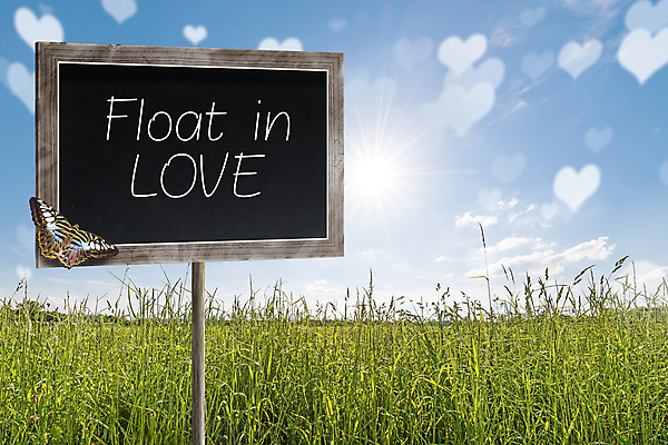 포토 JPG 해외이미지 식물 디자인 꽃잎 행복 나비 백그라운드 꽃무늬 밭 자연 프레임 발렌타인데이 사랑 잔디 사람없음 야외 장식 초록색 여름 노란색 환경 정원 칠판 봄 활발 수확 성장 시골 축하 신선 신용카드 5월 질감 복고 2월 뒤뜰 땅바닥 진짜 해외202004 해외포토 계절 꽃 감정 컬러 곤충 컨셉 무늬 농업 데이이벤트 바닥 금융 날짜 생태계 파일형식 이미지허브