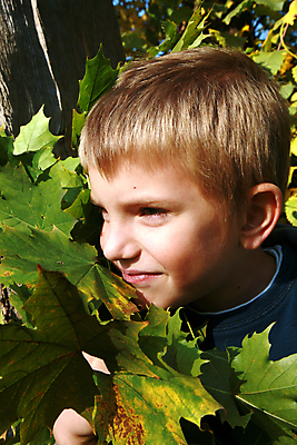 포토 JPG 해외이미지 나무 1 계절 공원 행복 아들 어린이 이동 단풍 잎 생각 가족 자연 한명 미소 웃음 앉기 소년 야외 초록색 금발 햇빛 머리 평화 가을 흰색 시골 황금 숲 명상 쉬는시간 해외202004 해외포토 식물 헤어스타일 공공시설 남자 감정 컬러 컨셉 관계 모션 휴식 표정 사람 신체부위 태양 생태계 파일형식 이미지허브