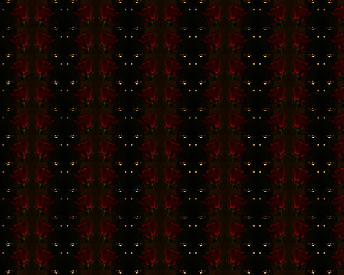 포토 JPG 해외이미지 모양 디자인 꽃 종이 벽 백그라운드 잎 꽃무늬 패턴 곡선 일러스트 자연 벽지 프레임 형상 미술 사람없음 그래픽 장식 컴퓨터 골동품 소용돌이 직물 화려 고급 우아함 실크 두루마리 가득함 그림 질감 복고 정사각형 구식 바로크 빅토리아 엘리먼트 옛날 회복 스타일 해외202004 해외포토 도형 식물 선 컨셉 무늬 문화예술 전자제품 회오리 생태계 파일형식 이미지허브