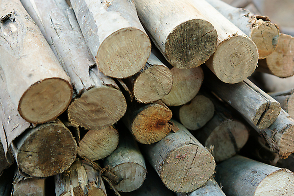 포토 JPG 해외이미지 나무 계절 산업 벽 백그라운드 십자가 겨울 패턴 자연 표면 불 추상 건조 따뜻함 사람없음 목재 갈색 쌓기 환경 에너지 시골 반지 소나무 뜨거움 거친 주식 숲 장작 자르기 묘사 벽난로 질감 날것 통나무 나무껍질 연료 잡동사니 흙더미 내추럴 수목 옛날 개조 해외202004 해외포토 자연요소 식물 컬러 무늬 재료 장신구 모션 금융 흙 껍질 생태계 파일형식 더미 이미지허브