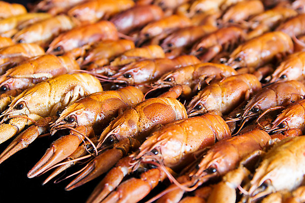 포토 JPG 해외이미지 동물 전통 음식 백그라운드 양서류 어류 사람없음 빨간색 식사 맛 가재 질감 암 러시아인 삶기 많음 해외202004 해외포토 서양인 컬러 컨셉 갑각류 수중동물 질병 파일형식이미지허브 