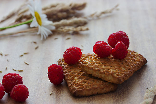 포토 JPG 해외이미지 열매 꽃 음식 다이어트 탁자 디저트 주택 건강 요리 씨앗 사람없음 목재 장식 빨간색 갈색 쿠키 케이크 식사 빵집 시골 대접 신선 닫기 달콤 아침식사 낟알 시리얼 밀 굽기 먹기 냅킨 귀 산딸기 깨 칼로리 스파이크 내추럴 뷔페 오트밀 채식주의자 페스츄리 핸드메이드 해외202004 해외포토 나무 식물 빵 컬러 가구 과일 식재료 재료 모션 곡류 건물 신체부위 상점 조미료 맛 구이 채식 파일형식 귀리 이미지허브