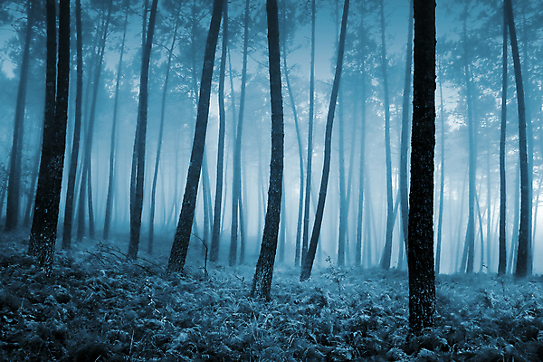 포토 JPG 해외이미지 계절 도로 여행 겨울 자연 하늘 스키 산 주택 풍경 경사 사람없음 파란색 울타리 얼음 하이킹 추위 흰색 신선 가루 언덕 암초 웅장함 절정 해외202004 해외포토 자연요소 길 컬러 교통시설 레저 겨울스포츠 건물 담장 생태계 파일형식 이미지허브