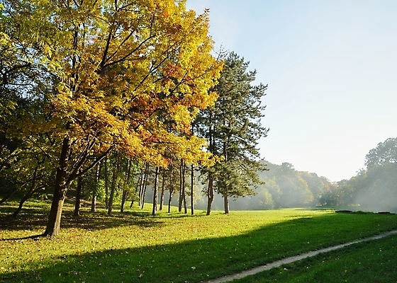 포토 JPG 해외이미지 나무 계절 공원 길 단풍 잎 밭 오렌지 자연 그림자 풍경 사람없음 야외 목재 초록색 컬러풀 노란색 걷기 환경 맑음 고요 활발 가을 나뭇가지 시골 숲 강렬 카피스페이스 해외202004 해외포토 식물 공공시설 컬러 컨셉 농업 과일 재료 모션 날씨 공백 생태계 파일형식 이미지허브