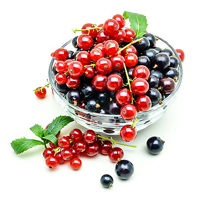 포토 JPG 해외이미지 열매 음식 다이어트 과일 유리 디저트 사람없음 빨간색 꽃병 검은색 식사 어둠 흰색 신선 달콤 작음 유기농 브런치 부드러움 건포도 고립 숙성 해외202004 해외포토 식물 웰빙 꽃 컬러 재질 포도 건강 감각 맛 크기 건과일 파일형식 이미지허브